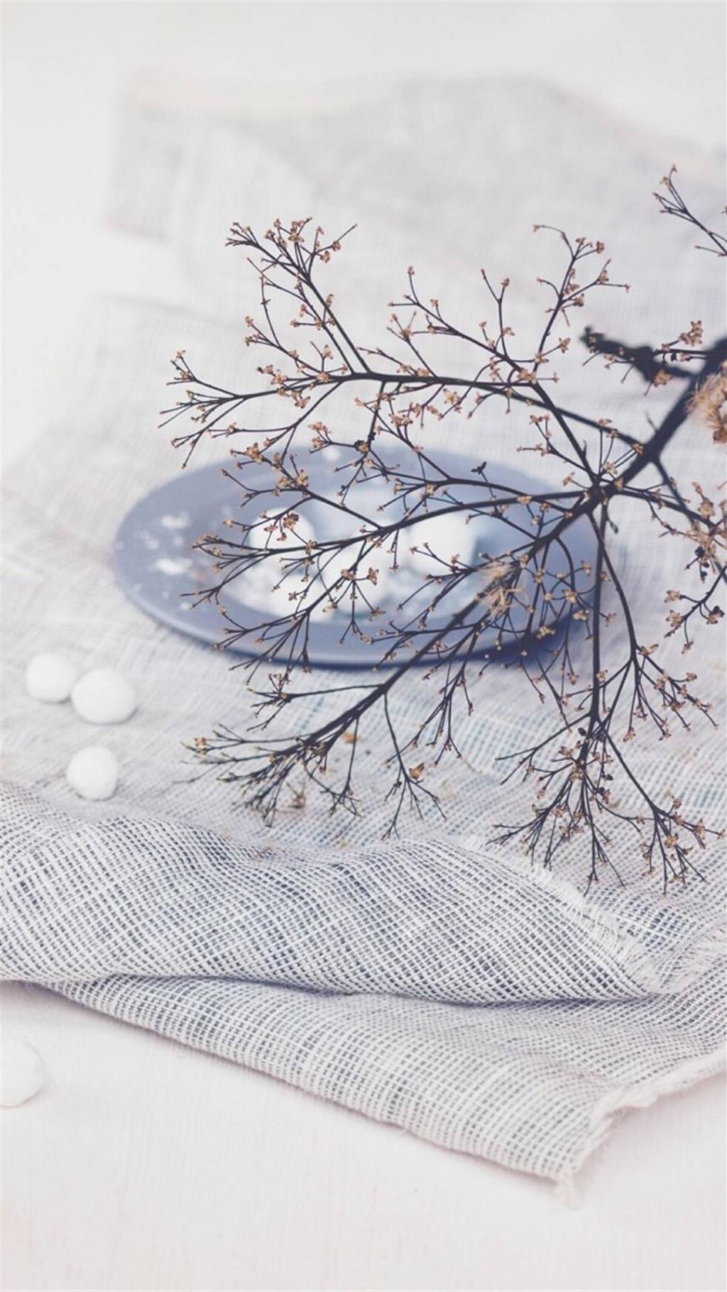 清新静物摄影合集