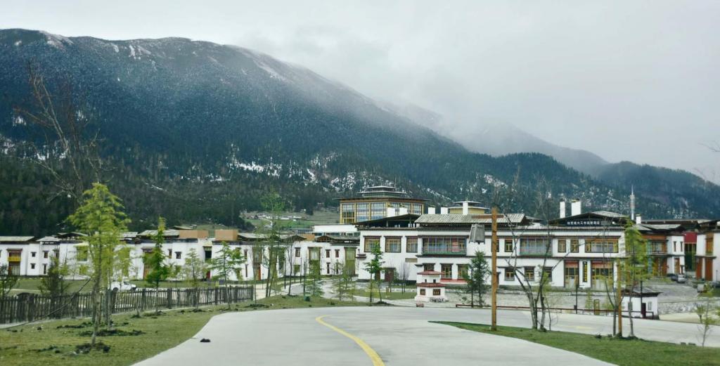 夏天你最想去的城市林芝鲁朗国际小镇