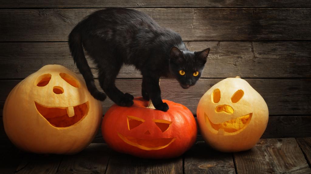 万圣节恐怖南瓜