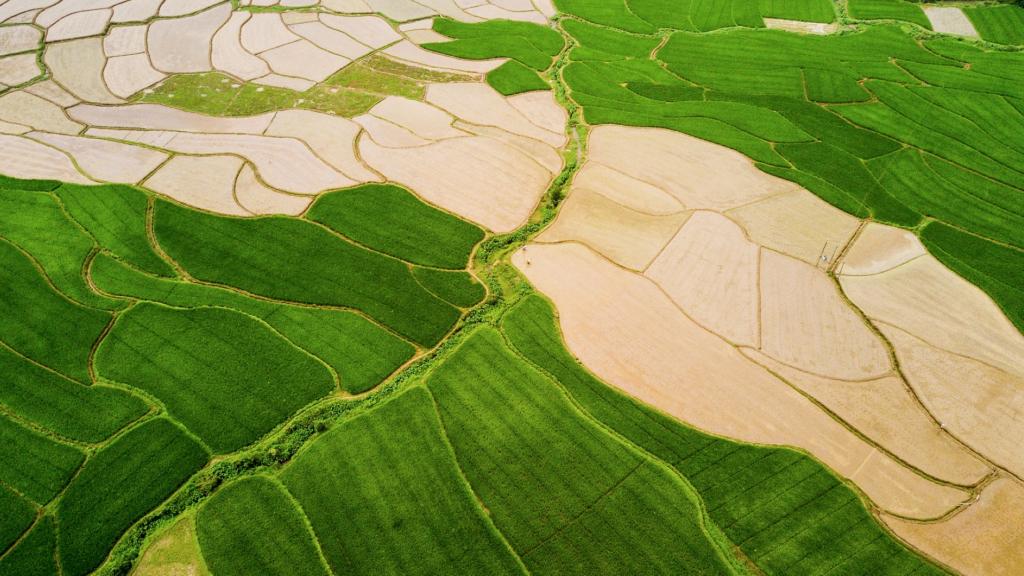 航拍田野清新护眼风景