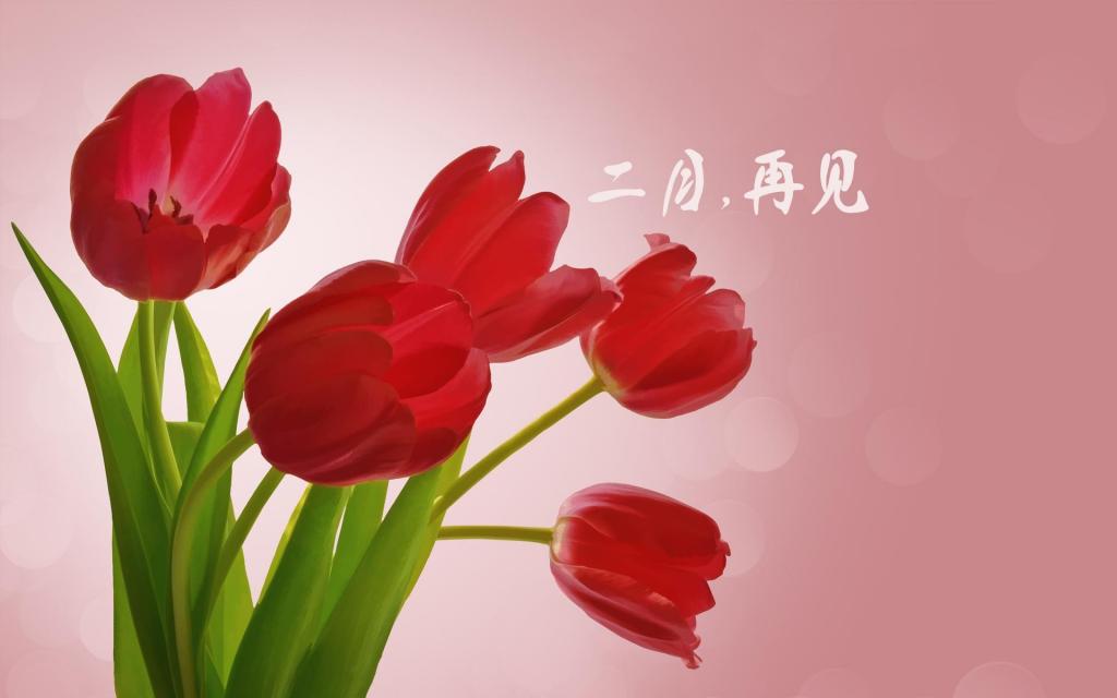 时光匆匆,二月再见