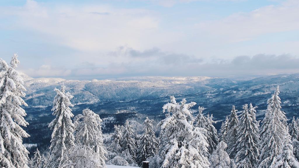 雾漫仙境的感觉