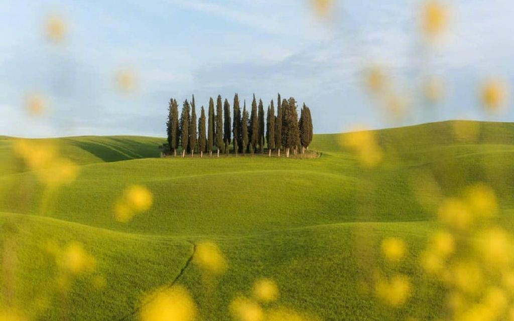 五一相遇意大利托斯卡纳田园风光美景写真