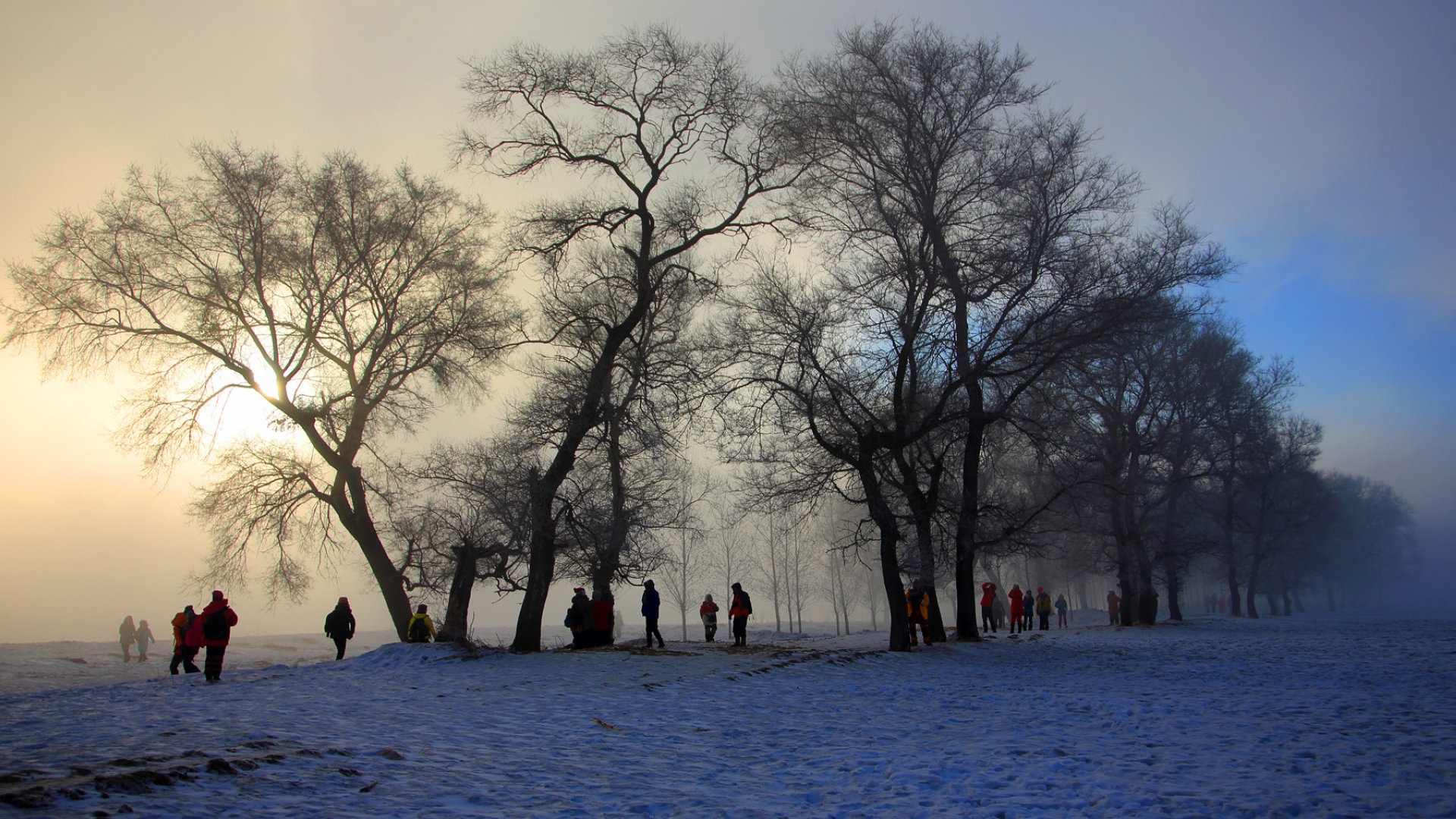 吉林雾凇岛风景,高清图片,电脑桌面-壁纸族