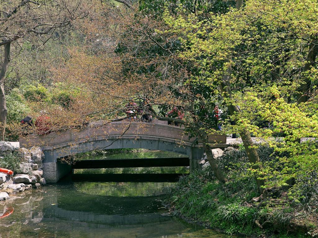 太子湾公园风光