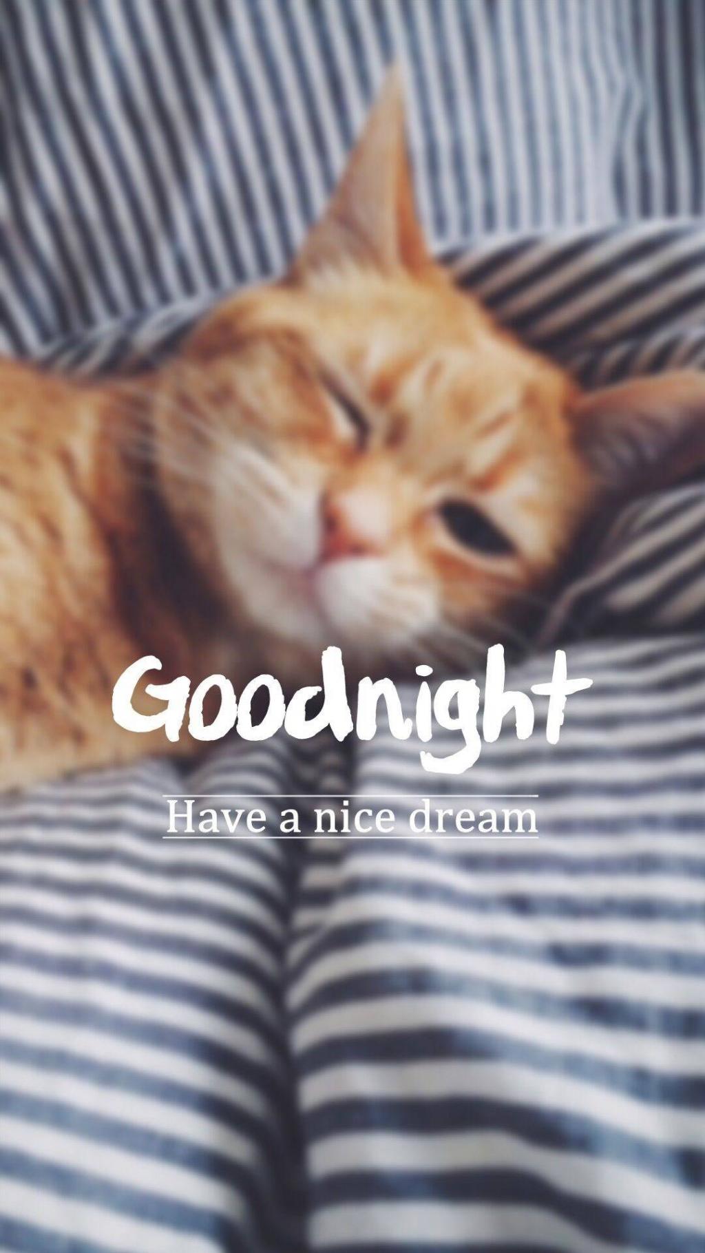 晚安文字心情图片