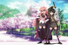 动漫《零之使魔》露易丝角色