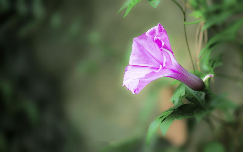 简单清新的摄影