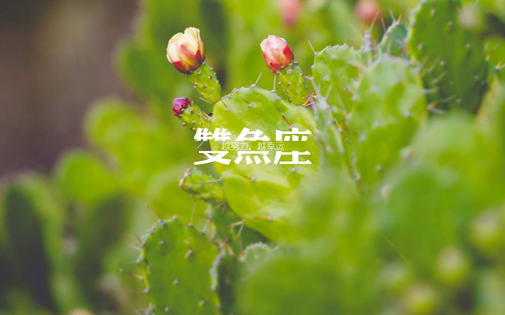 唯美十二星座双鱼座图