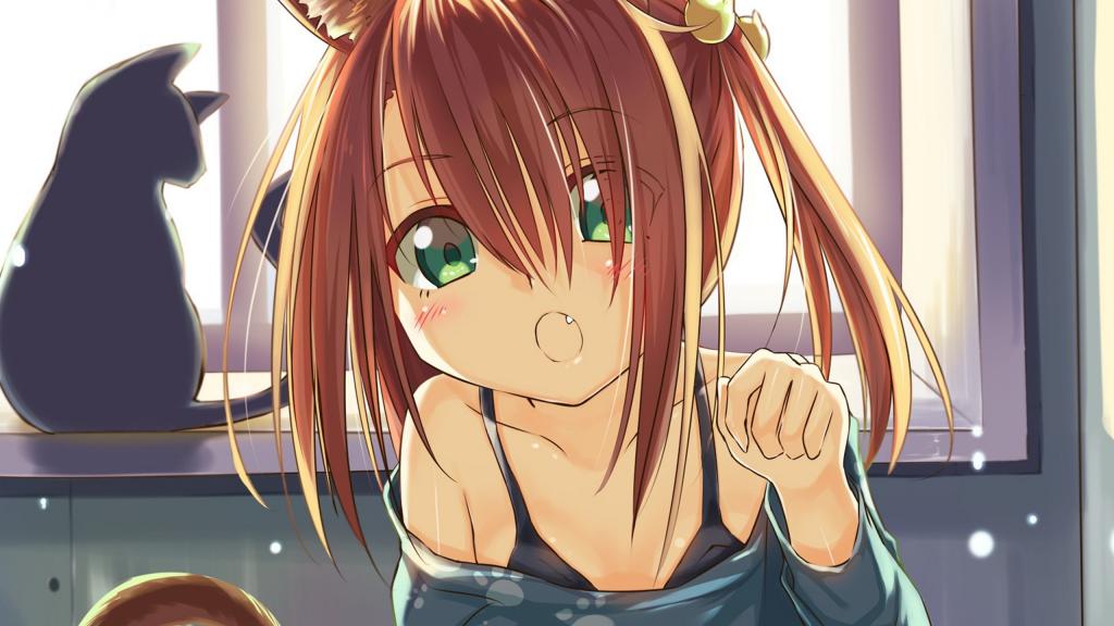 呆萌的猫少女动漫