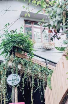 小清新文艺店铺摄影-4