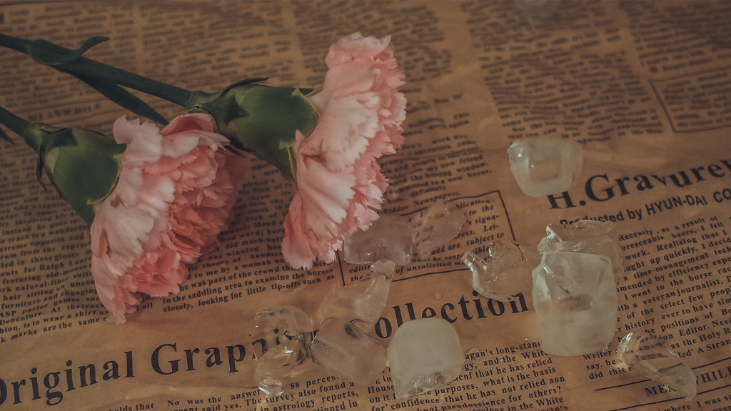 康乃馨复古文艺摄影