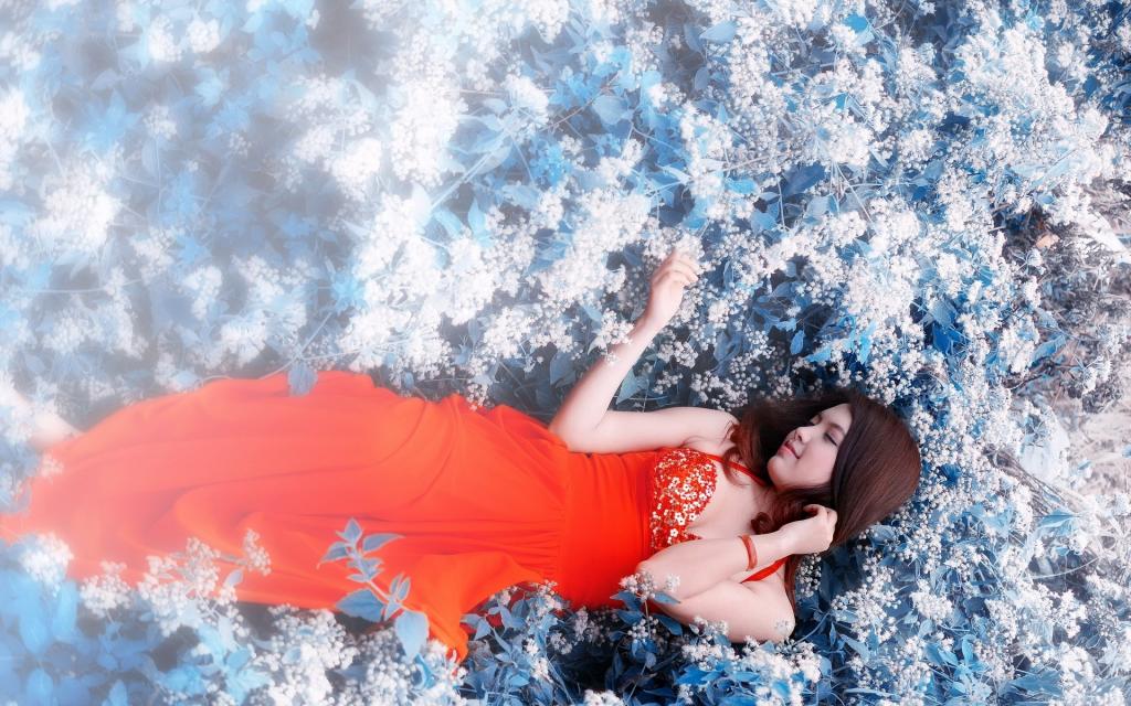 如花似玉的美人很倾城