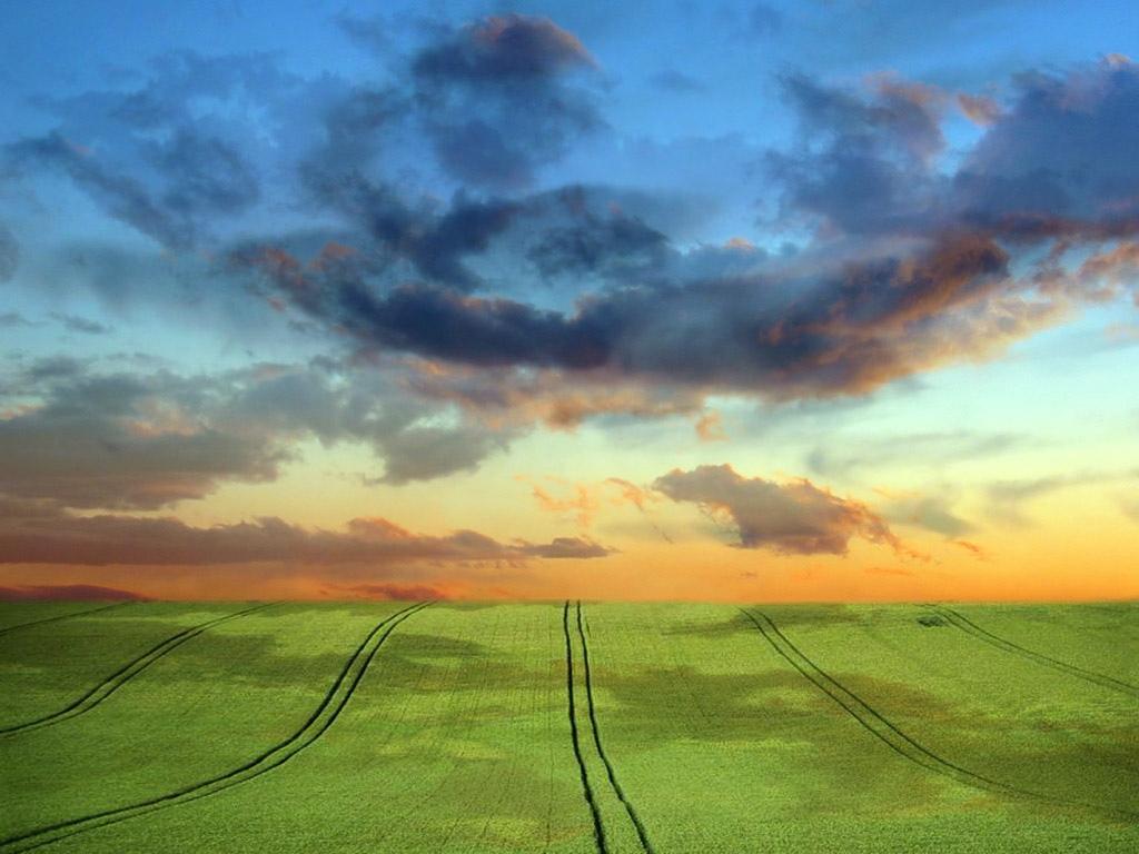 田园上空飘着红霞云朵