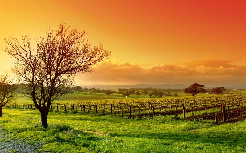 精选宽屏风景类