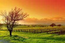 精选宽屏风景类