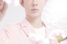 新晋小鲜肉于朦胧樱花树下唯美写真