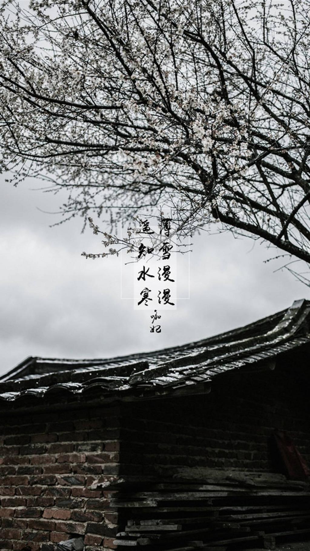 山林食纪之薄雪漫漫