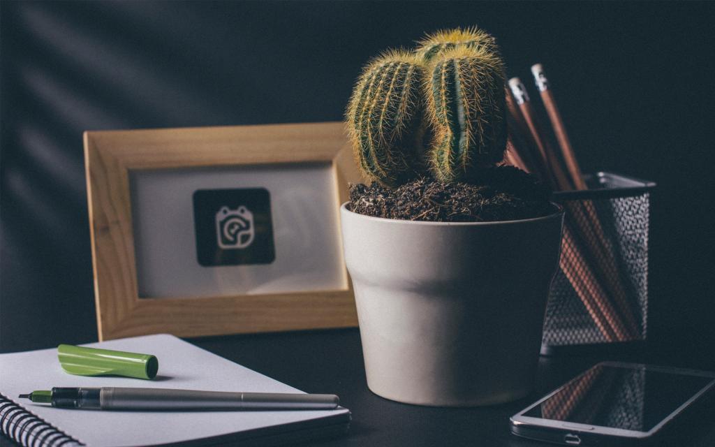 充满艺术感的小仙人掌摆设