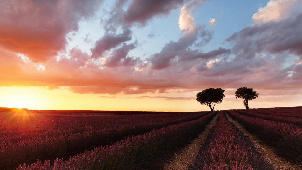 唯美的日出风光