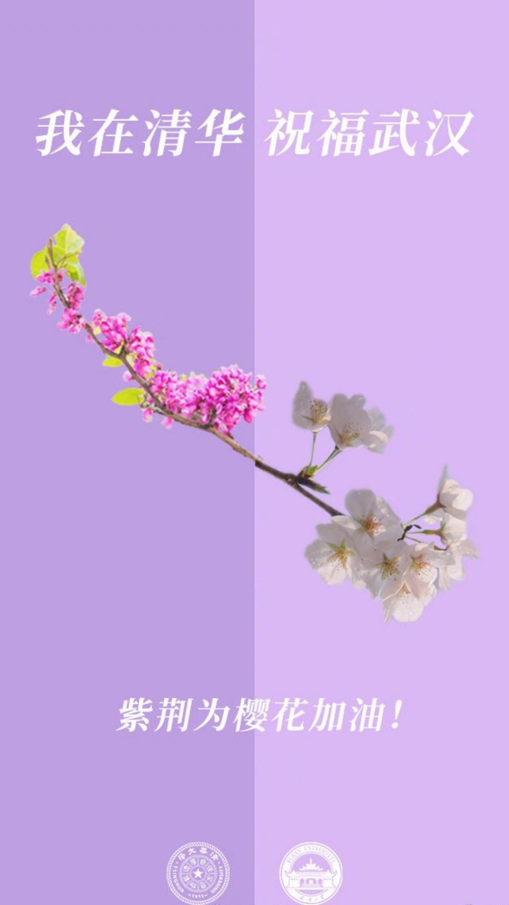 各高校校花为武大樱花加油