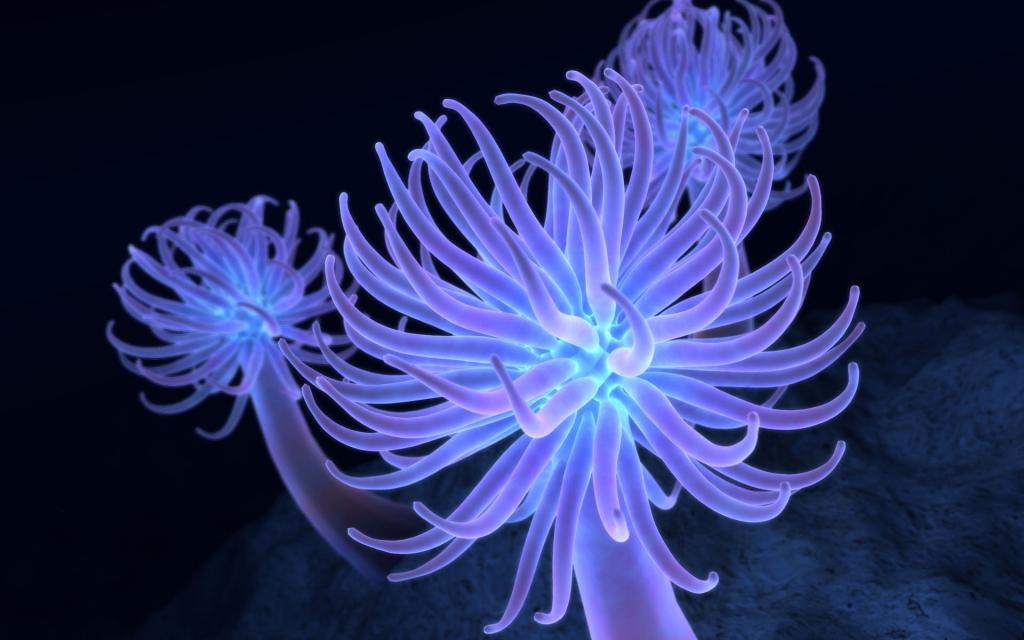 创意设计唯美梦幻花朵