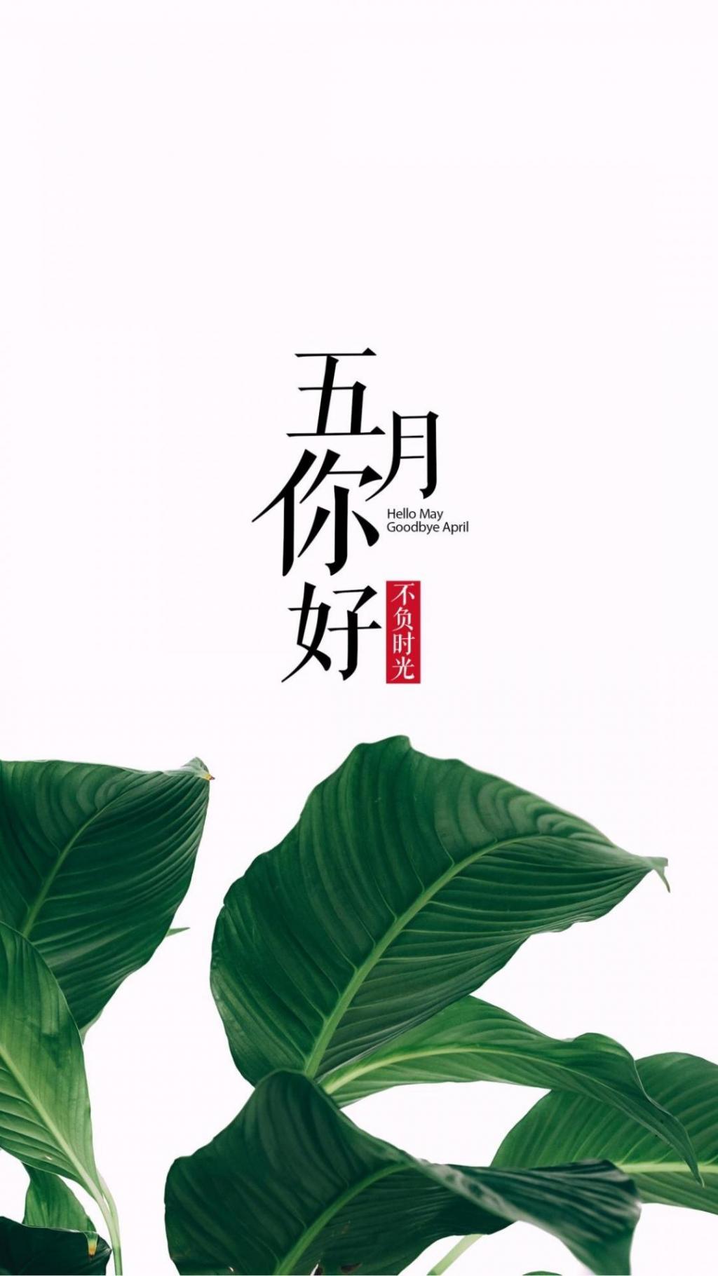 崭新的五月即将登场