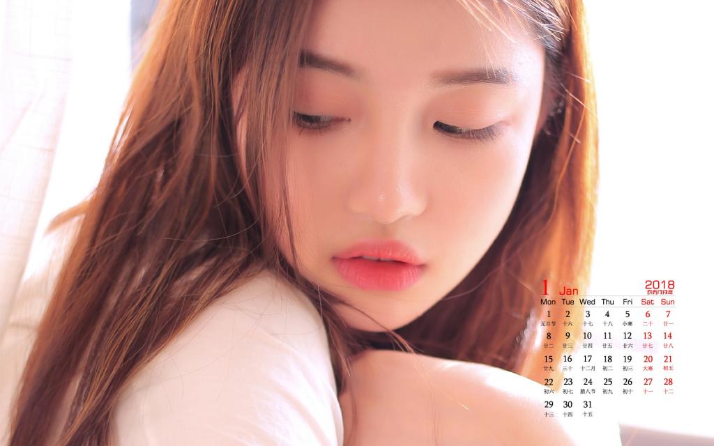 2018年1月文艺美女写真日历