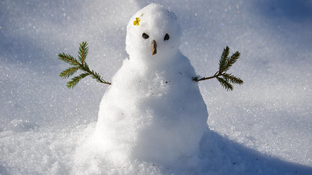 雪天来一波雪人