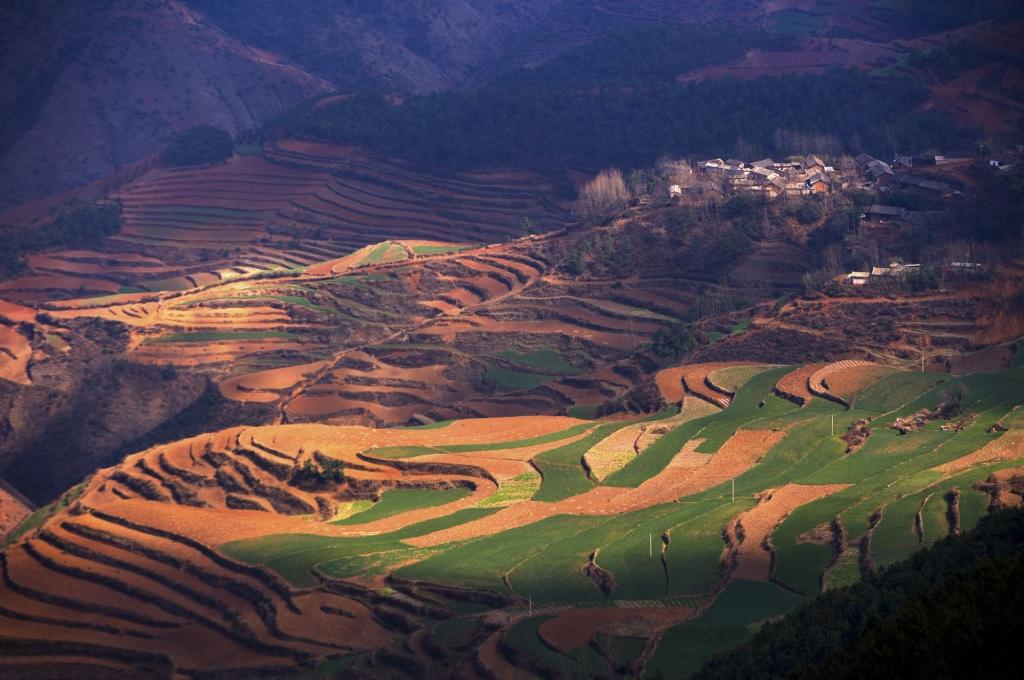 云南大山深处的红土地耕地
