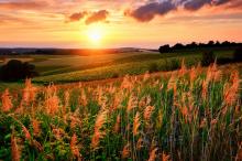 优美夕阳田野风光