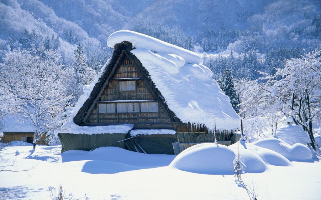 冬季雪景