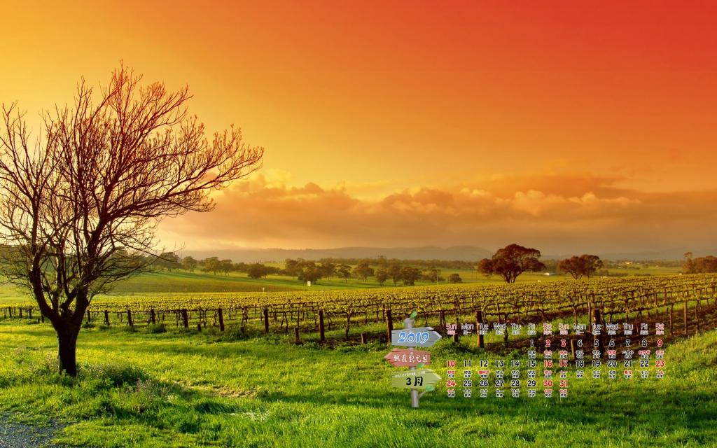 2019年3月春天里的美景日历