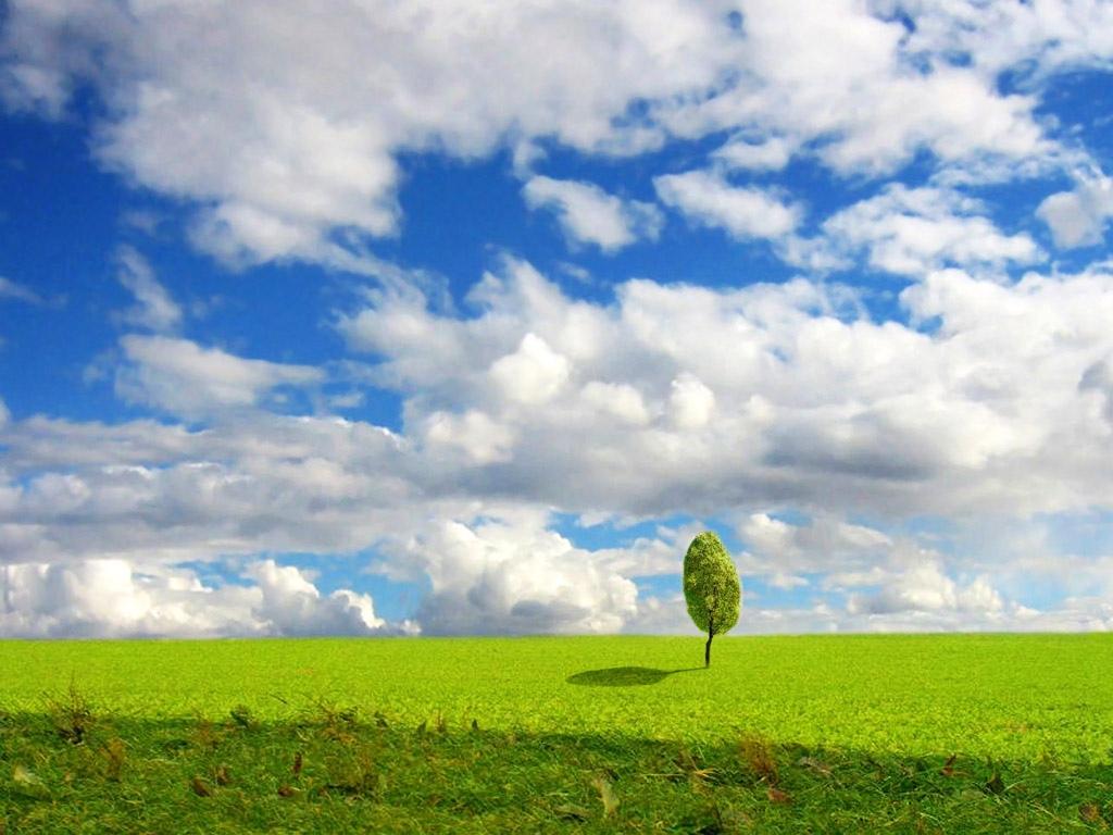 田园里乌云密布