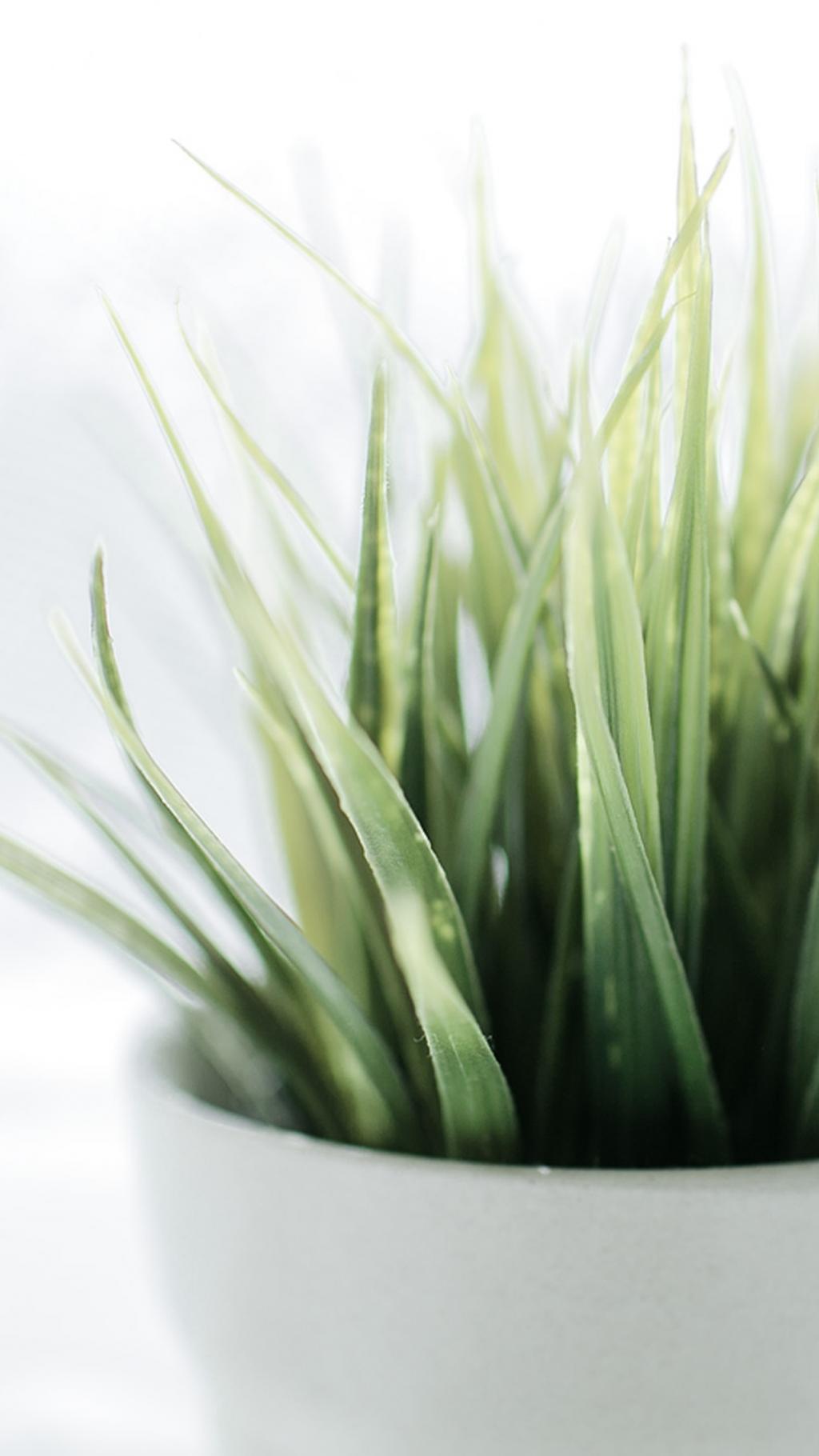 小清新日系静物摄影