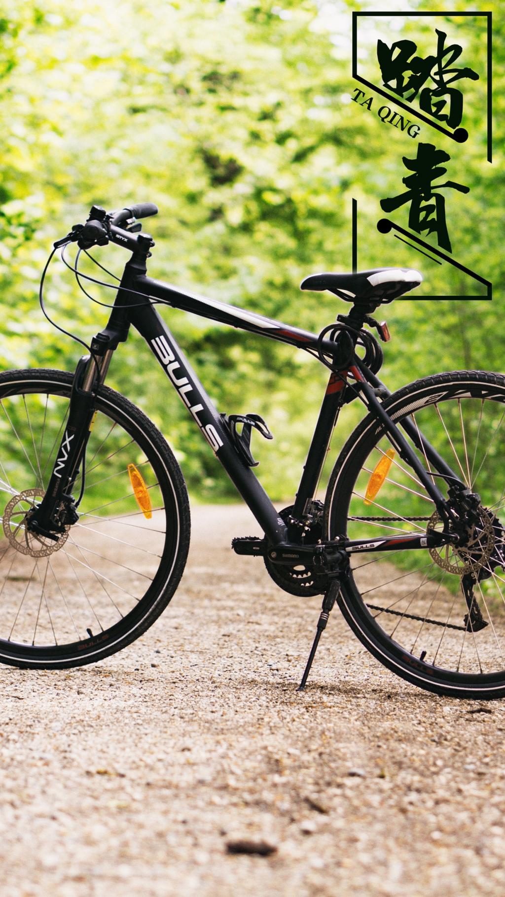 又到一年踏青时