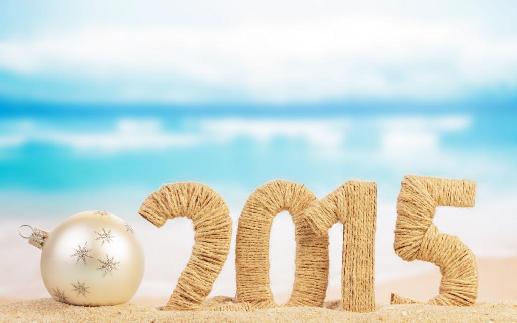 2015年新年