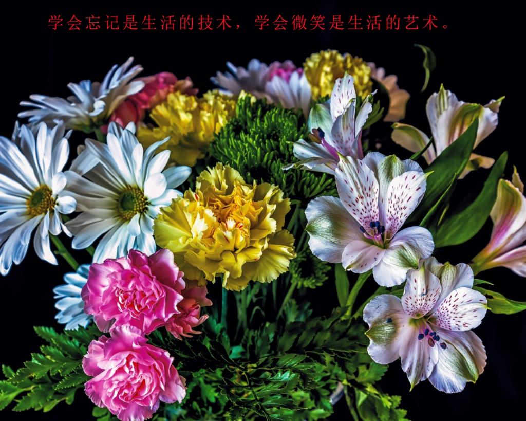 简短感悟人生的句子