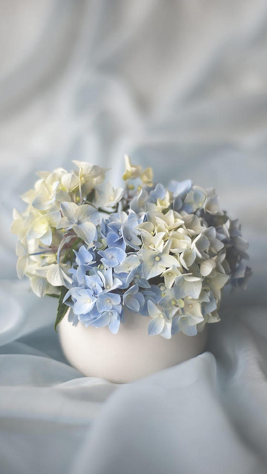 清新淡雅的绣球花