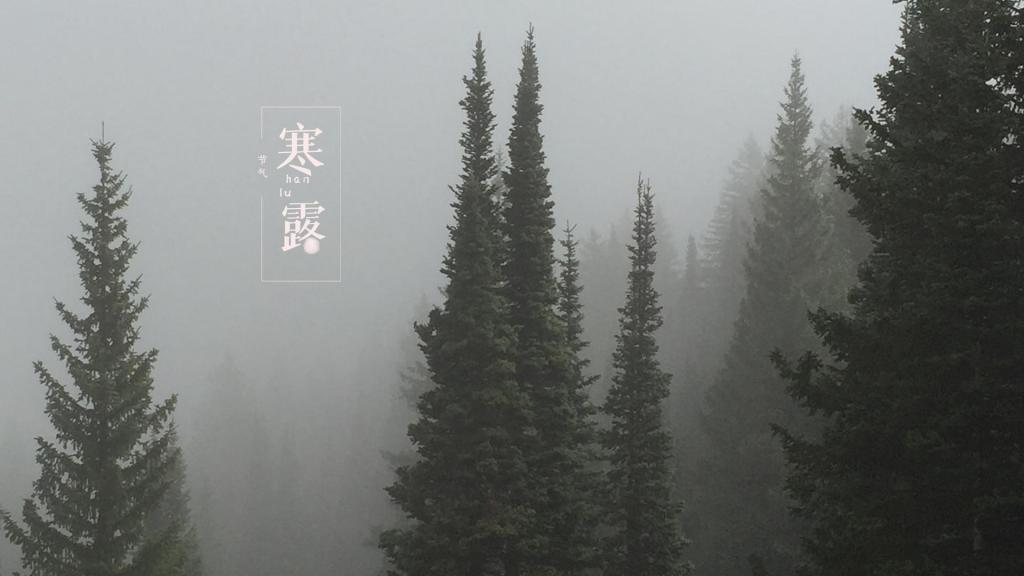 寒露时节优美森林风景