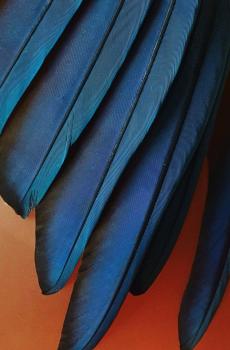 最新苹果IOS12系统自带壁纸-7