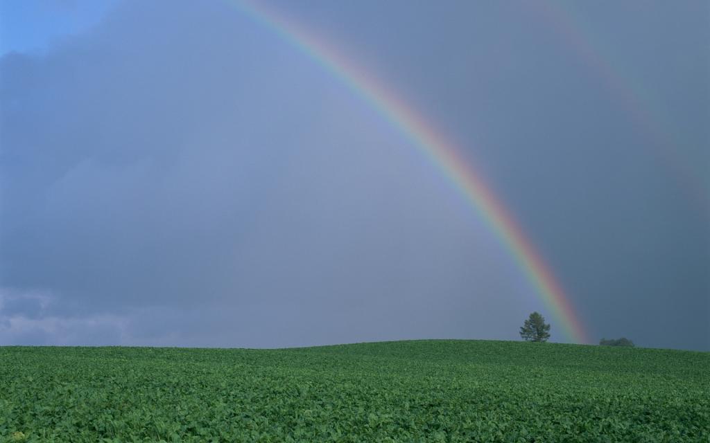 美丽的彩虹图片,高清图片,电脑桌面-壁纸族