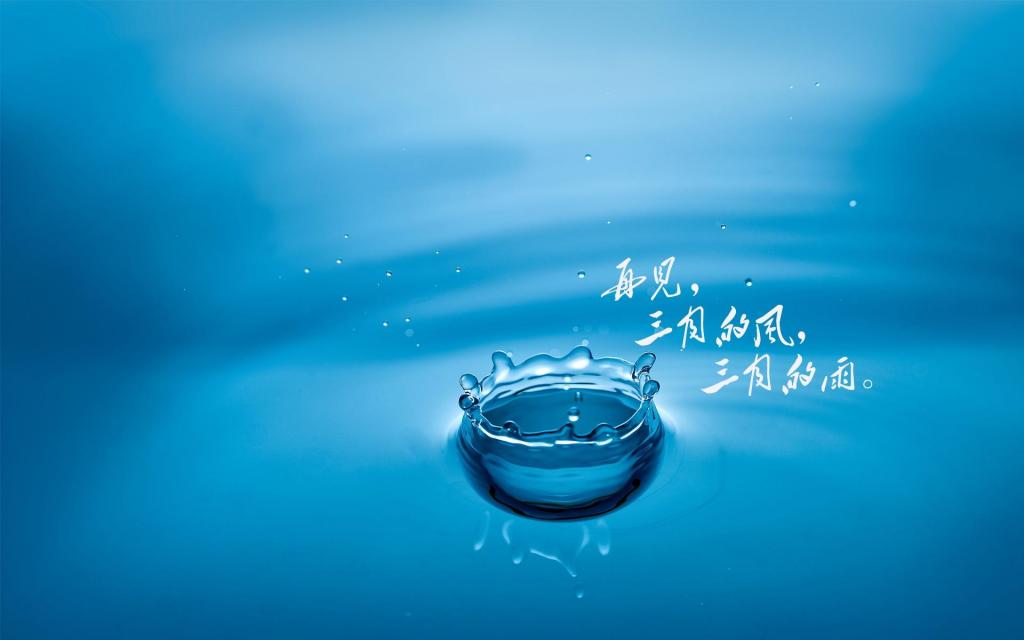 再见,三月的雨