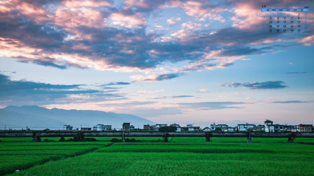 2020年5月小清新蓝天草地日历