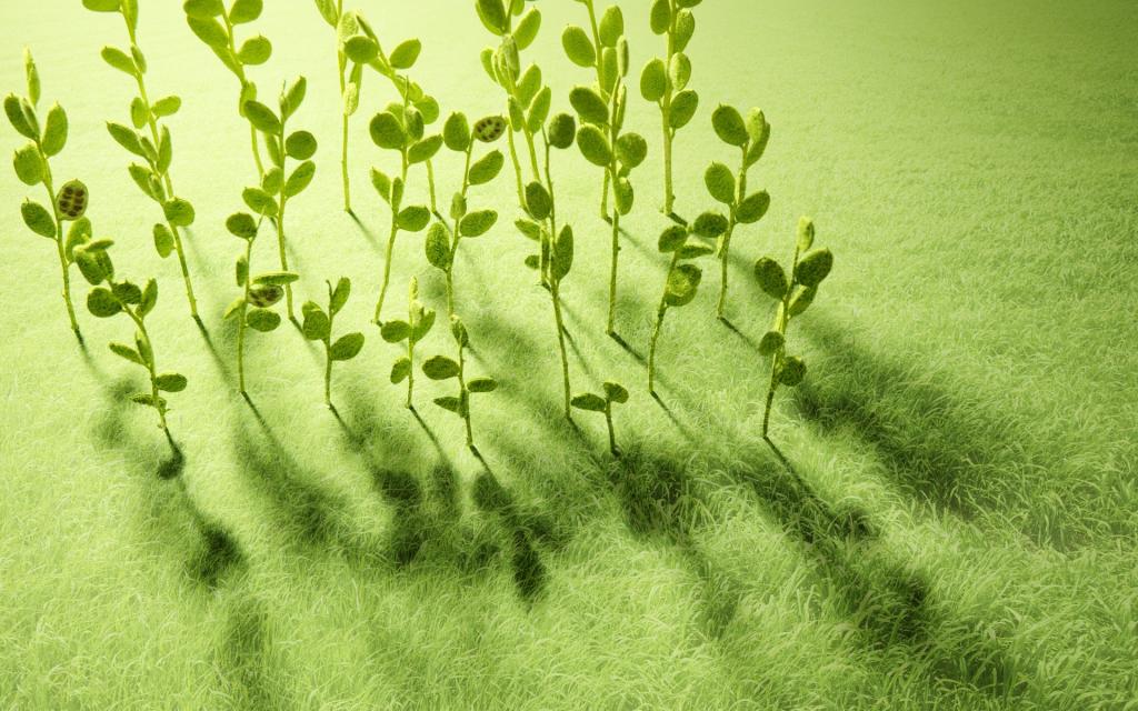 绿叶成荫绿色与自然