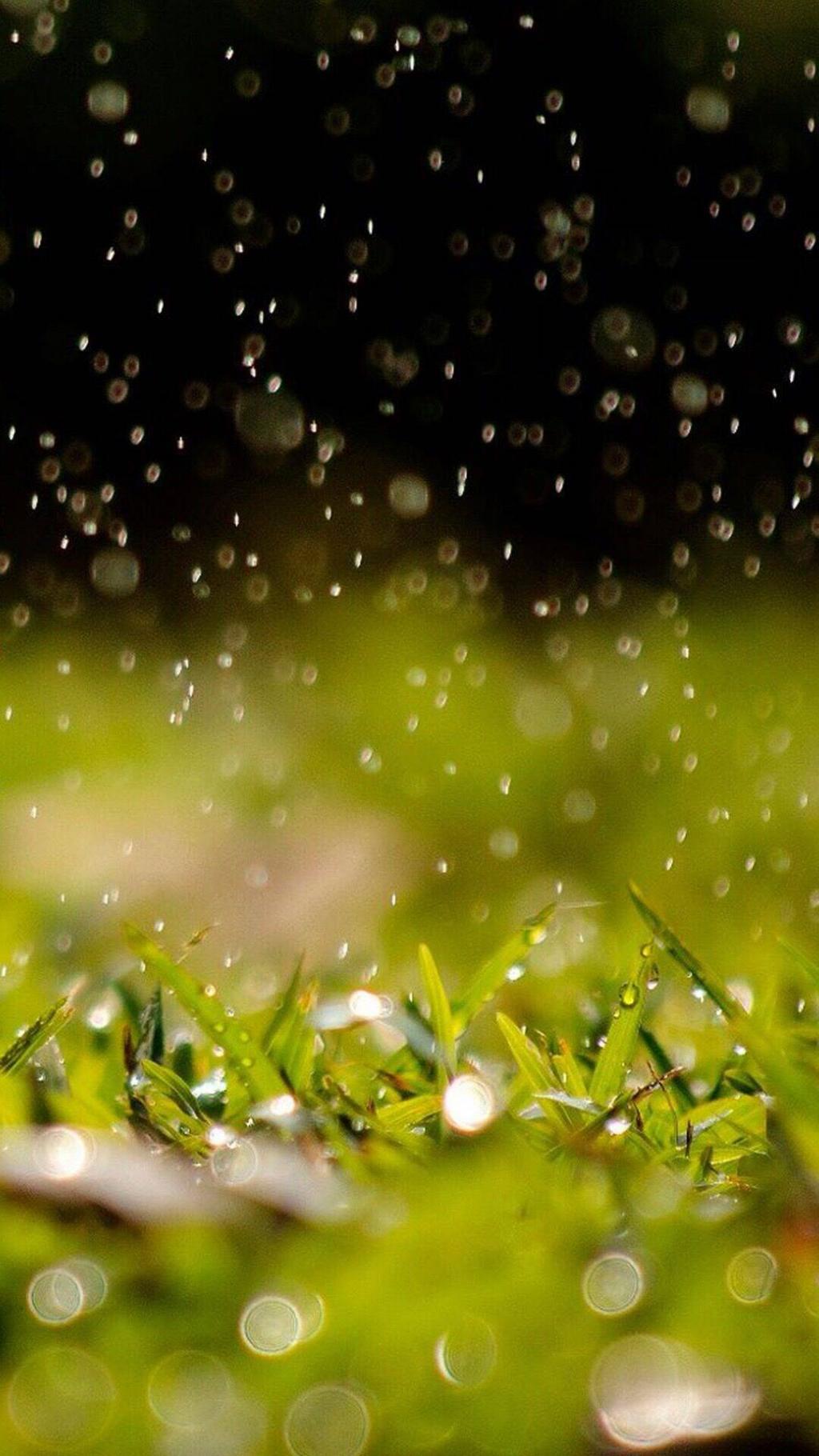 一场雨把我困在这里