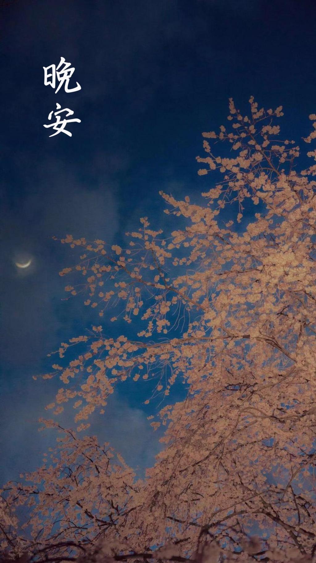 八月的第一天晚安