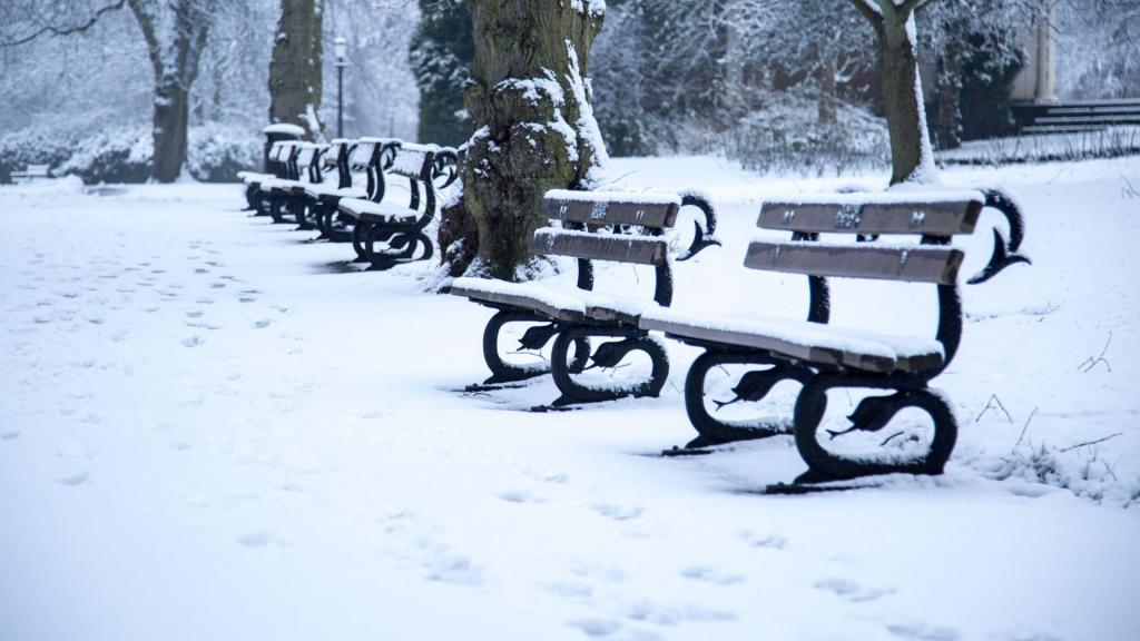 冬季雪地公园的长椅