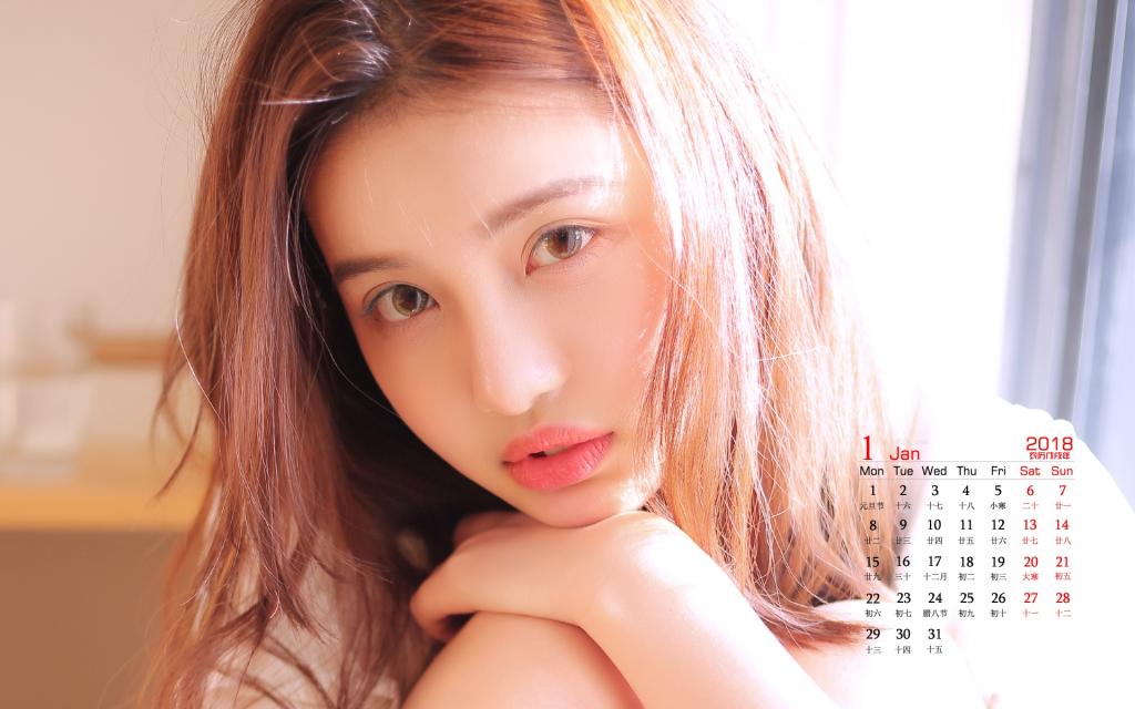 2018年1月文艺美女写真日历