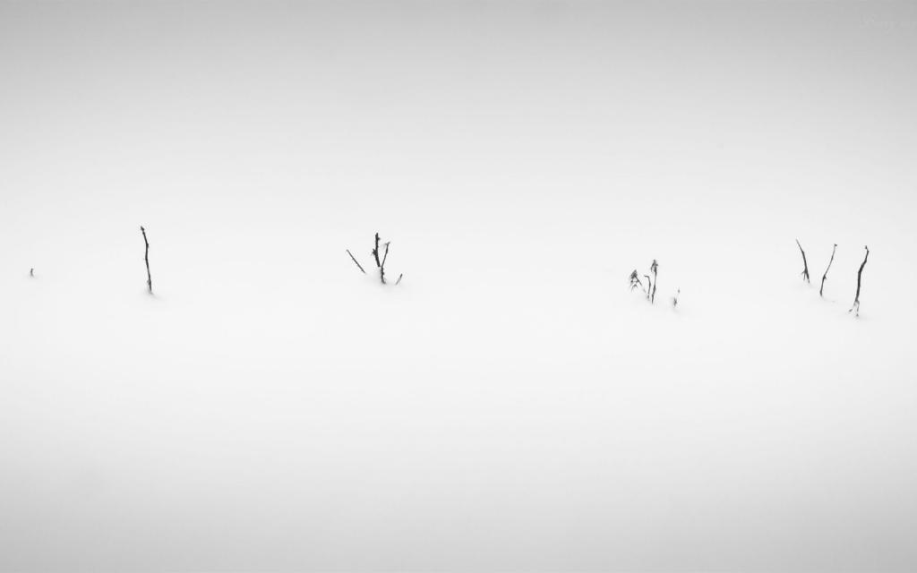 摄影冬季户外唯美雪景